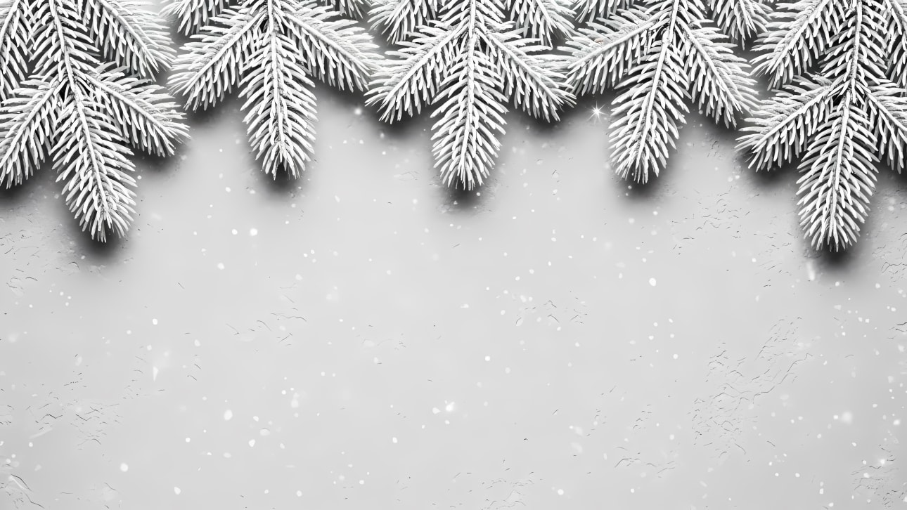 Download this free vector of snow-covered pine branches forming a winter border with falling snowflakes on a light gray background.