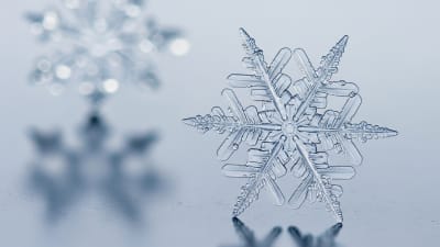 Sparkling Snowflake Macro Winter Magic & Holiday Cheer