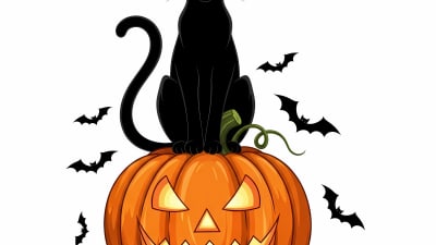 Spooky Black Cat on Jack o' Lantern with Bats Free Vector Illustration