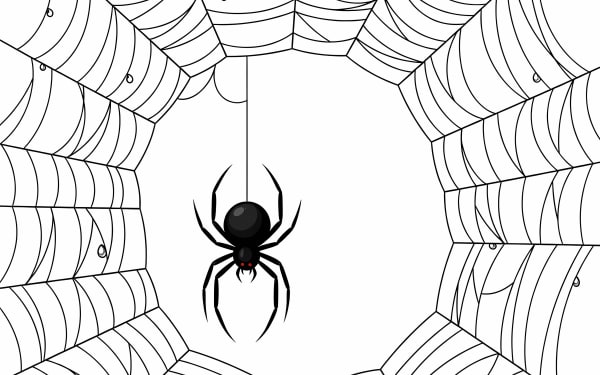 Discover this striking free vector of a black spider suspended in an intricate cobweb.