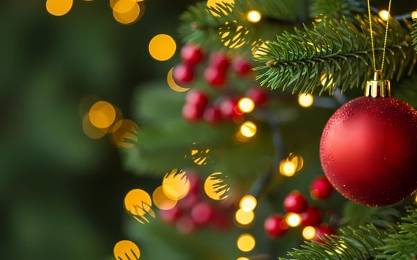 Download this vibrant Christmas tree branch with a red bauble and festive lights, perfect for holiday designs and promotions.