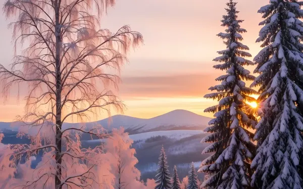 Elevate your designs with this breathtaking winter scene, featuring sunlit snow and frosted trees. Perfect for serene backgrounds and holiday-themed projects.