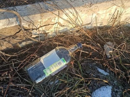 Необходимость нового законодательства в Хакасии для помощи людям в состоянии опьянения