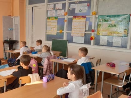 Безопасность на дороге: уроки для первоклассников