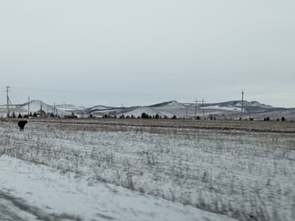 Синоптики прогнозируют на 1 апреля противоречивую погоду   - дождь и снег