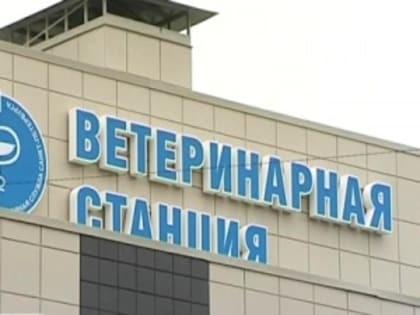 Дезинфекция животноводческих помещений в Черногорске