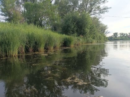 Клещи всё ещё активно нападают на взрослых и детей в Хакасии