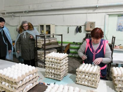 Глава Хакасии побывал на Усть-Абаканской птицефабрике