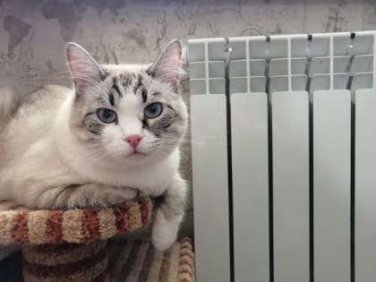 В Абакане завершается отопительный сезон