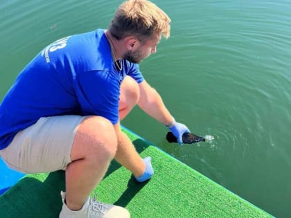 В Хакасии можно купаться в 5 местах