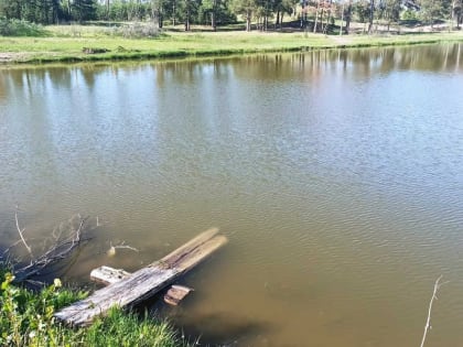 Синоптики - о том, каким будет июнь-2024 в Хакасии и на юге Красноярского края