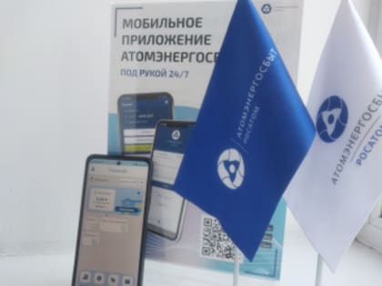 В Хакасии мошенникизаставляют жителей подключаться к чату энергосбыта