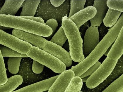 В Пригорске выявлена кишечная инфекция: заболели пятеро детей