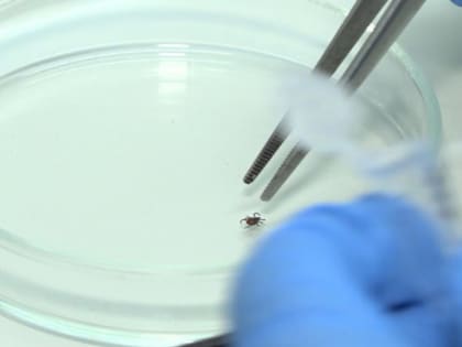 Снижение показателей в России: новая статистика Роспотребнадзора