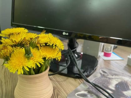 Врачи рассказали, как делать зарядку для глаз тем, кто работает за компьютером