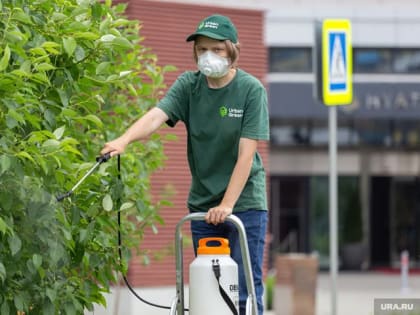 Как обработать деревья весной от болезней и вредителей