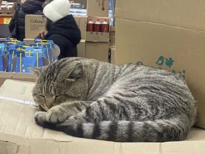 Проверка Роспотребнадзора выявила нарушения в Красноярском крае