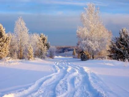 Погода в Хакасии 29 января: Облака затянут небо