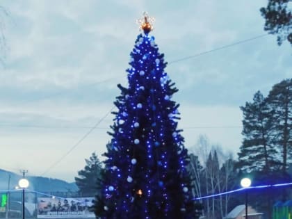 Сквер лесников: что осталось от ёлки