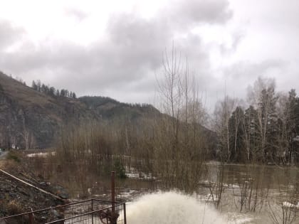 В течение дня 11 апреля службы города откачивают воду из шлюза в ГРП, а также в месте дренирования дамбы. Работает техника.