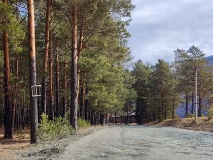 ТОС «Мирный» будет участвовать в конкурсе инициативных проектов