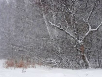 Погода в Хакасии 15 февраля: Снова ветер