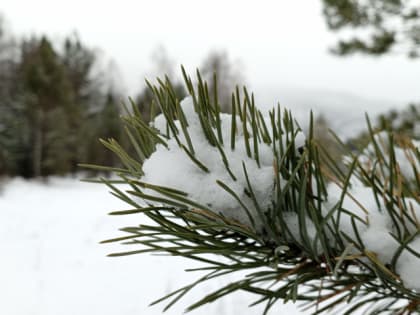 Завтра погода в Хакасии снова порадует