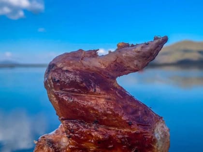 Язвенная болезнь желудка: это должен знать каждый