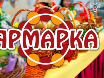 Новые инициативы по улучшению городской инфраструктуры