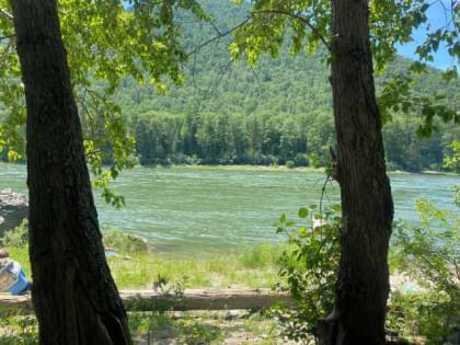 В таежных районах Хакасии продолжат активничать клещи