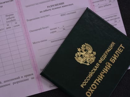 Как ЮЛ и ИП, заключившим охотхозяйственные соглашения, без ошибок заполнить сведения о выданных разрешениях для их подачи в налоговые органы