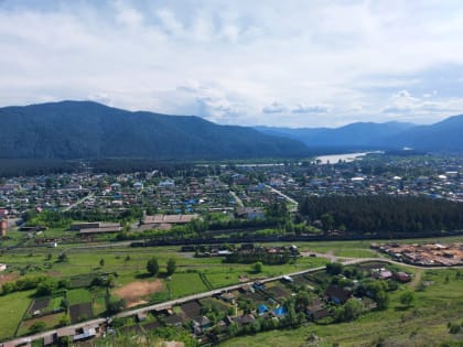 В ближайшее время в Абазе будет проведено спиливание старых и опасных деревьев