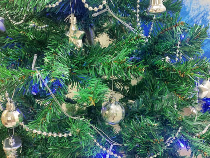 Безопасность новогодней ели: советы по предотвращению пожаров