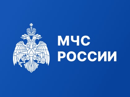В МЧС России подвели итоги работы Общественной приемной в 2024 году
