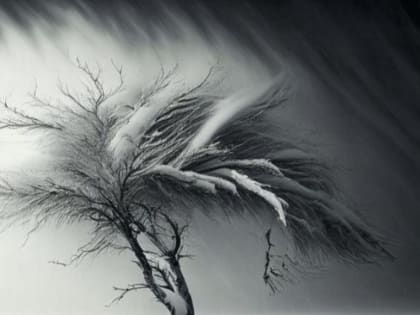 Экстренное предупреждение: сильный ветер и метель в Хакасии 10 февраля