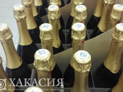 Врачи Хакасии: Алкоголь отрицательно влияет на репродуктивную систему