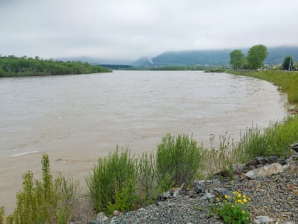На реке Абакан в районе Абазы высокий уровень воды. Сегодня он на 08.00 часов составил 373 см и пока остается стабильным.