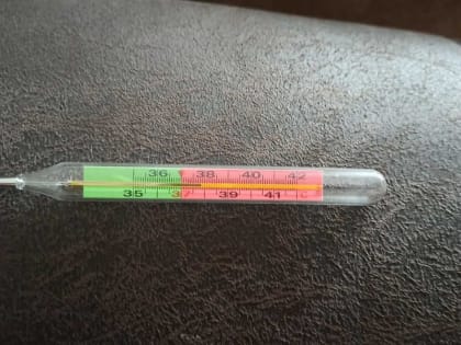 Санитарные врачи рассказали о ситуации с ОРВИ и гриппом в Хакасии