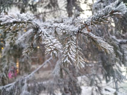 Хороший прогноз погоды для жителей Хакасии