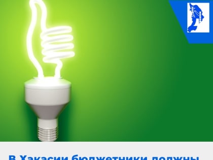 Бюджетным организациям Хакасии до 30 марта нужно отчитаться о потреблении энергоресурсов
