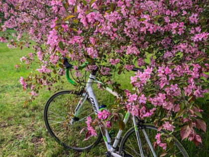 Топ видов спорта, полезных для мозга