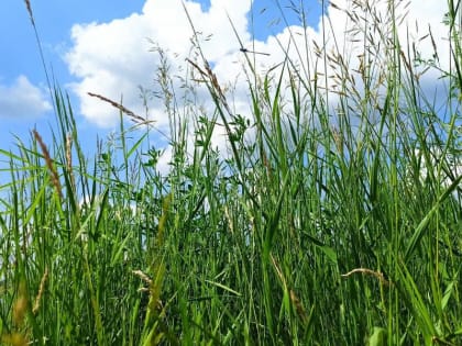 Каждый градус после +26 снижает работоспособность на 10%: меры выживания в сильную жару