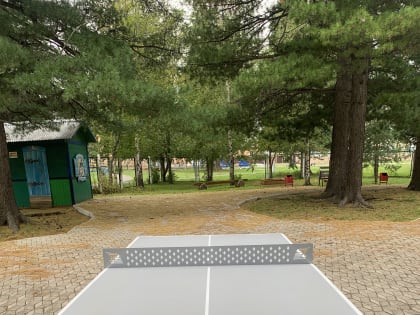 Новые возможности для активного отдыха в нашем городе