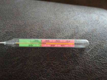 Роспотребнадзор рассказал, какие вирусы циркулируют в Хакасии