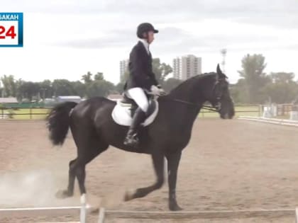 Скачки на ипподроме в Абакане: праздник урожая и спортивные достижения