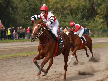 Республиканский ипподром готовится отметить столетие