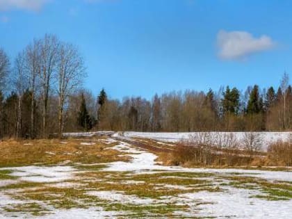 Погода в Хакасии 19 марта: Температура растет
