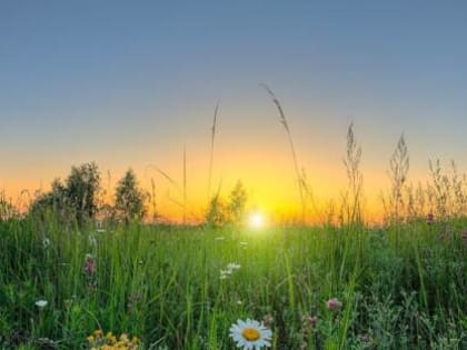 Погода в Хакасии 16 июля: Жара