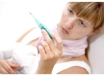 Новогодние праздники еще идут, а опасные вирусы уже завезли в Россию