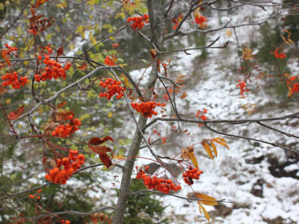 Экстренное предупреждение о непогоде в Хакасии